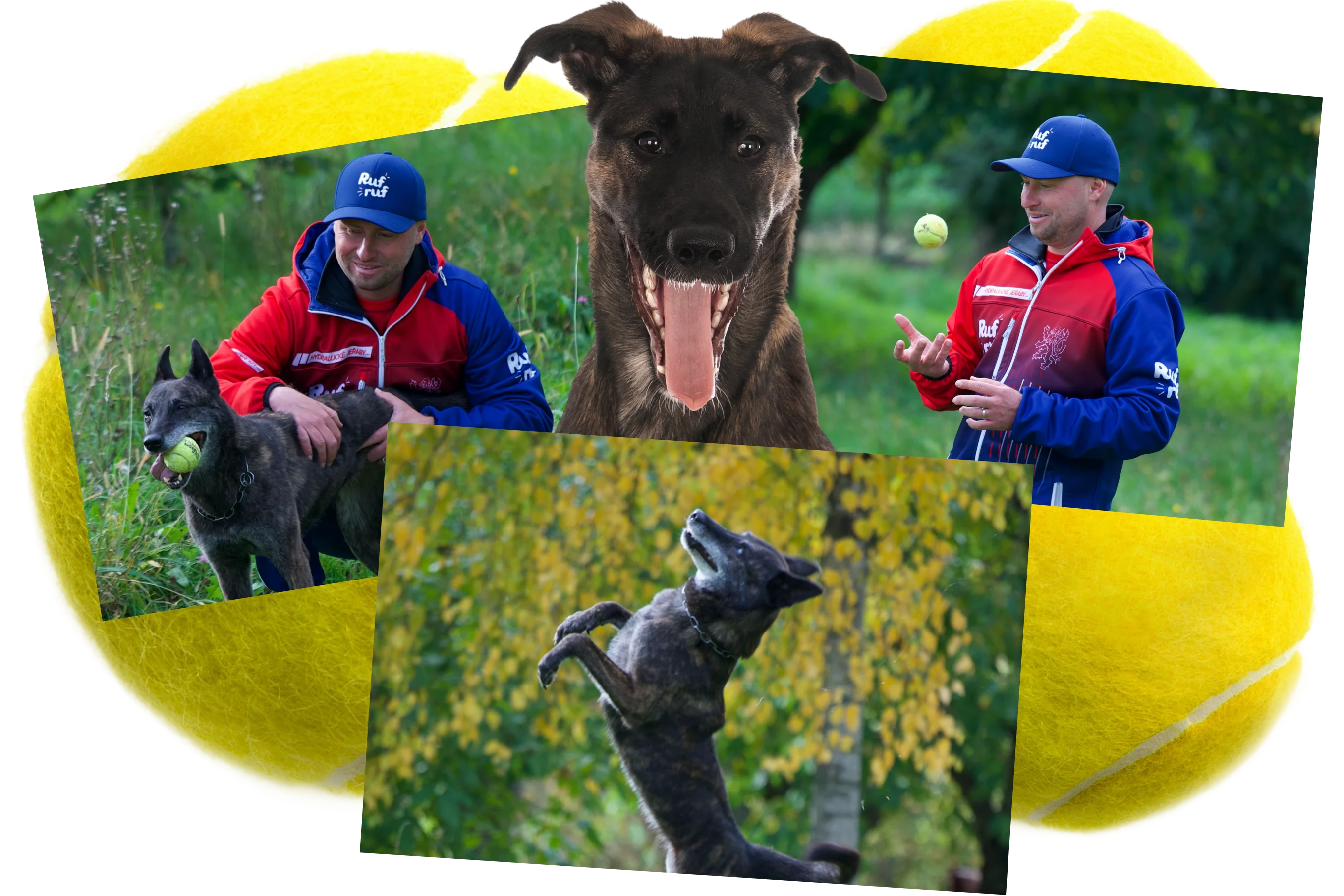 Koláž fotek z výcviku