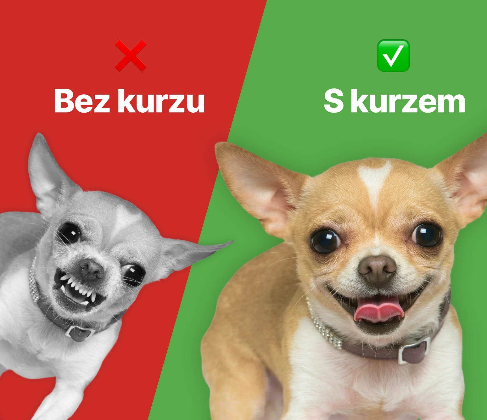 S kurzem vs bez kurzu