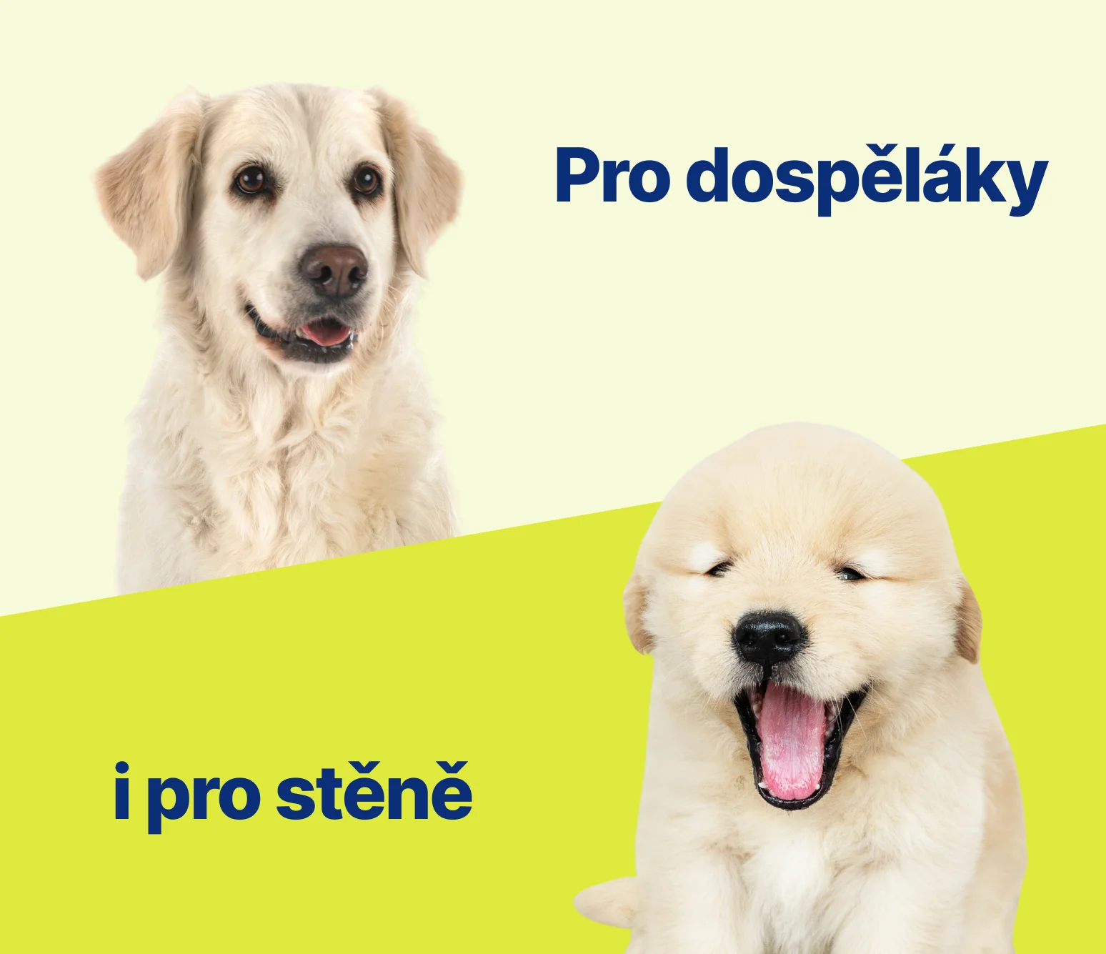 Štěně a dospělý pes